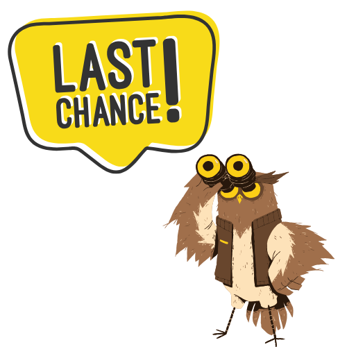 Spring Auction – Last Chance Items